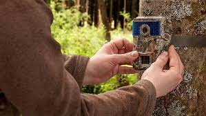 3 Basic Features You Need in a Trail Camera